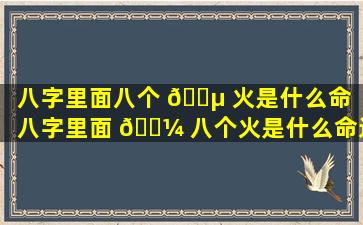 八字里面八个 🌵 火是什么命「八字里面 🐼 八个火是什么命运」